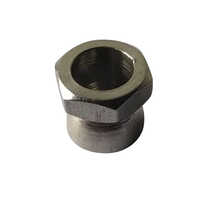 Ss Anti-theft Nut - Feature: Corrosion Resistance