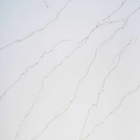 Storm Quartz - Artificial Stone Type: Artificial Marble