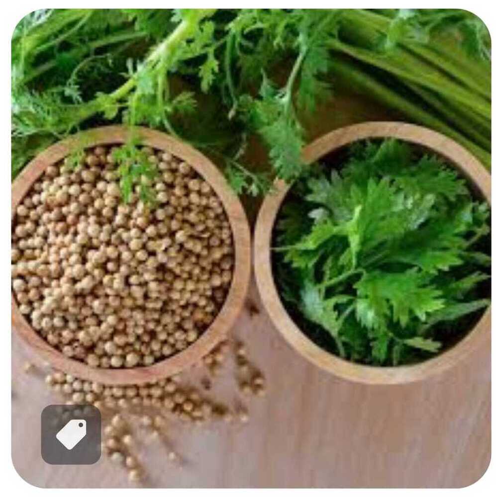 Coriander Seeds