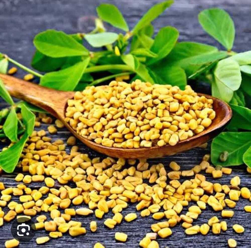 Fenugreek Seeds