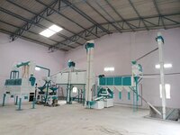 Chakki Atta Plant