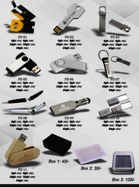 Promotional Card Pen Drive