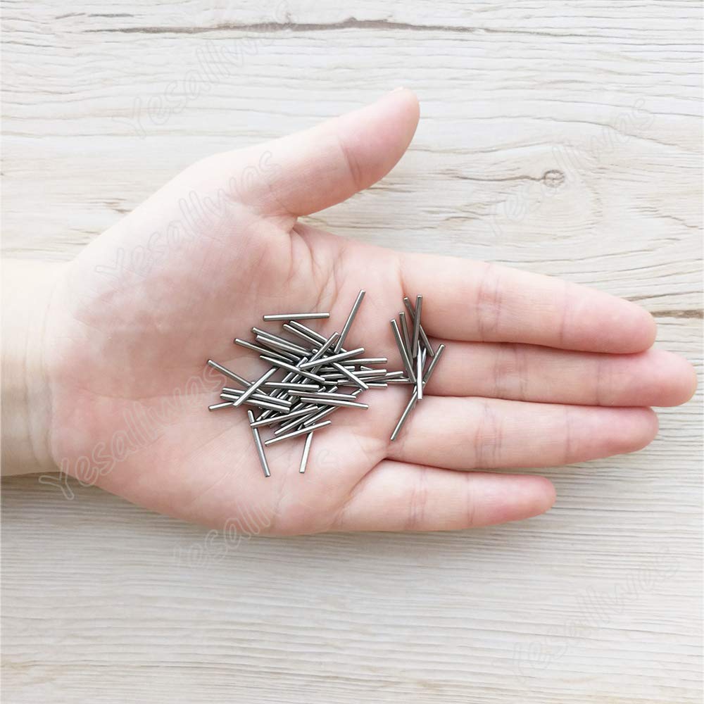 Stainless Steel Pins