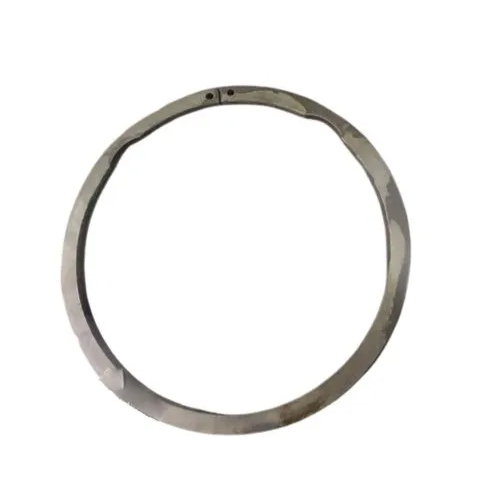 250mm SS Circlip