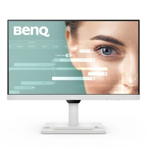Benq Mainstream Monitor - Application: Desktop