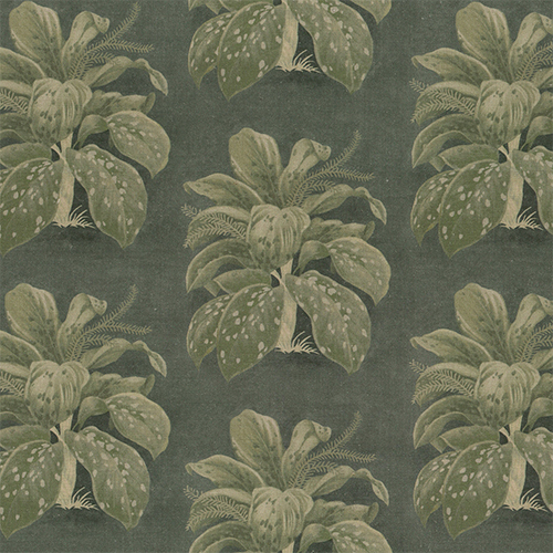 Nlf24Fez003 Fez Decorative Fabrics - Feature: Shrink-Resistant