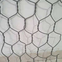 Zinc Pvc Coated Gabion Box