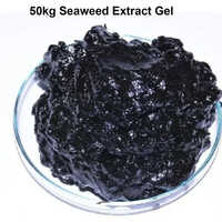 Black Seaweed Extract Gel