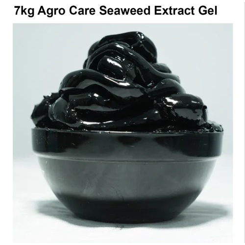 Industrial Seaweed Extract Gel