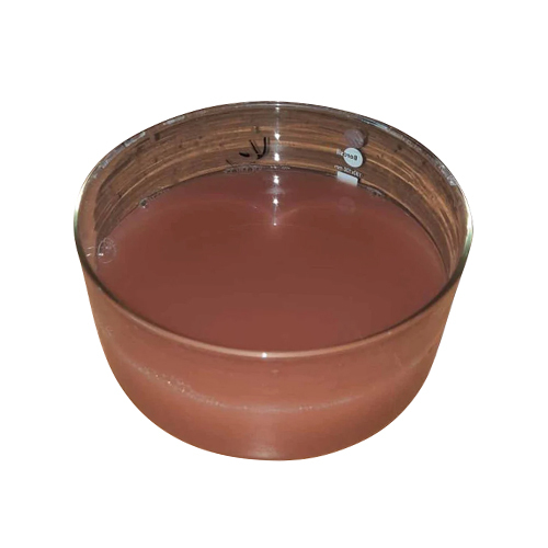 Kappaphycus Alverezii Liquid