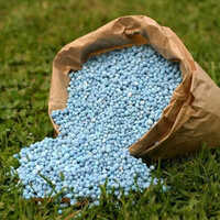 Bio Boron Fertilizer