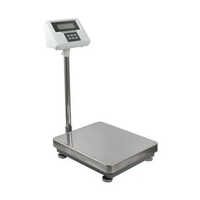 SS Industrial Platform Scale