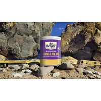 Berger Long Life 10 Weathercoat Paint