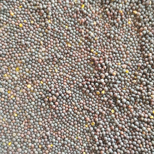 Armseeds Grain - Feature: Gluten-Free