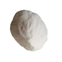 L Lysine