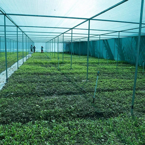 Nursery Shade Net