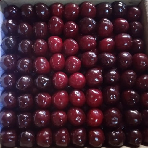 Fresh Cherry