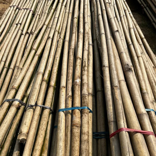Assam Bamboo Pole
