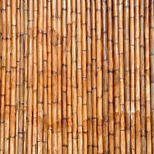 Natural Bamboo Pole