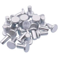 Solid Rivet Aluminium