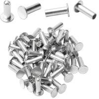 Semi Tubular Rivets