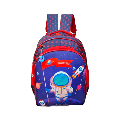 Kids Fancy School Bag