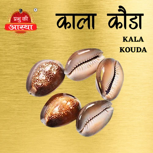PUJA KALA KOUDI