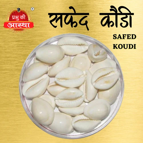 SAFED WHITE KOUDI COWRIE