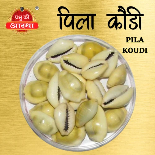 PILA YELLOW KOUDI COWIRE