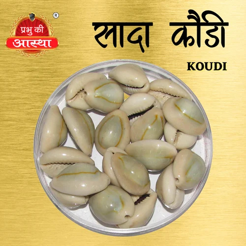 SADA KOUDI COWRIE