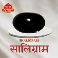Puja Saligrama Stone - Color: Black