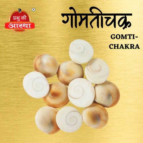 Gomti Chakra Stone