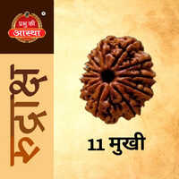 11 Mukhi Rudraksha - Material: Wood