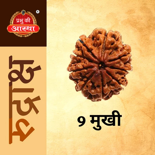 9 Mukhi Rudraksha