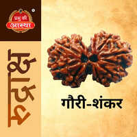 Gauri Shankar Rudraksha - Color: Brown