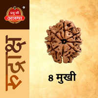 8 Mukhi Rudraksha - Color: Brown