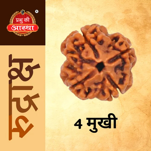 4 Mukhi Rudraksha