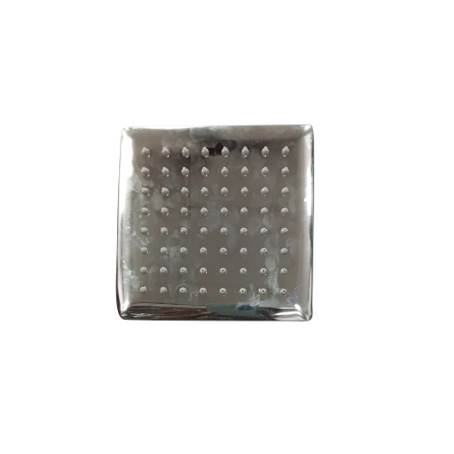 Stainless Steel Wall Mounted Shower