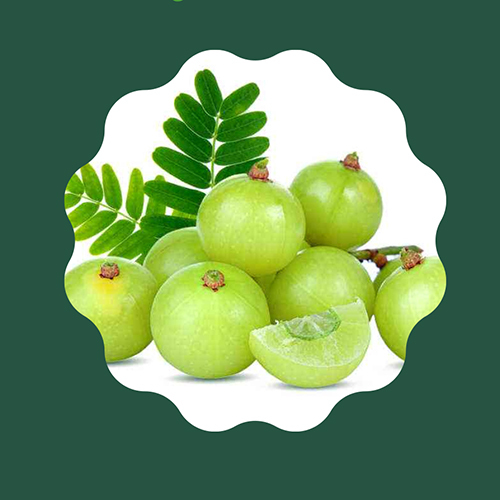 Phyllanthus Emblica Amla - Color: Green