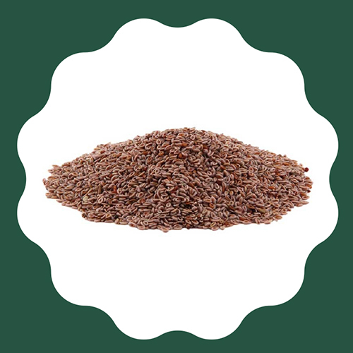 इस्तेमाल के लिए तैयार Psyllium Seeds