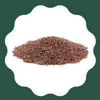 Psyllium Seeds