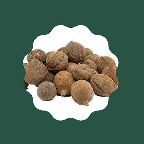 Terminalia Bellirica Baheda - Application: Ayurvedic