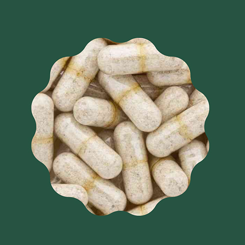 500Mg Psyllium Capsules - Age Group: For Adults
