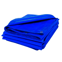 200 GSM Blue High Density Polyethylene Tarpaulin