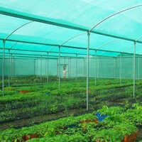 120 GSM Shade Net House