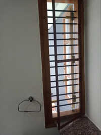 Ss Window Mosquito Net