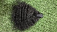 Single Clip Hair Extension