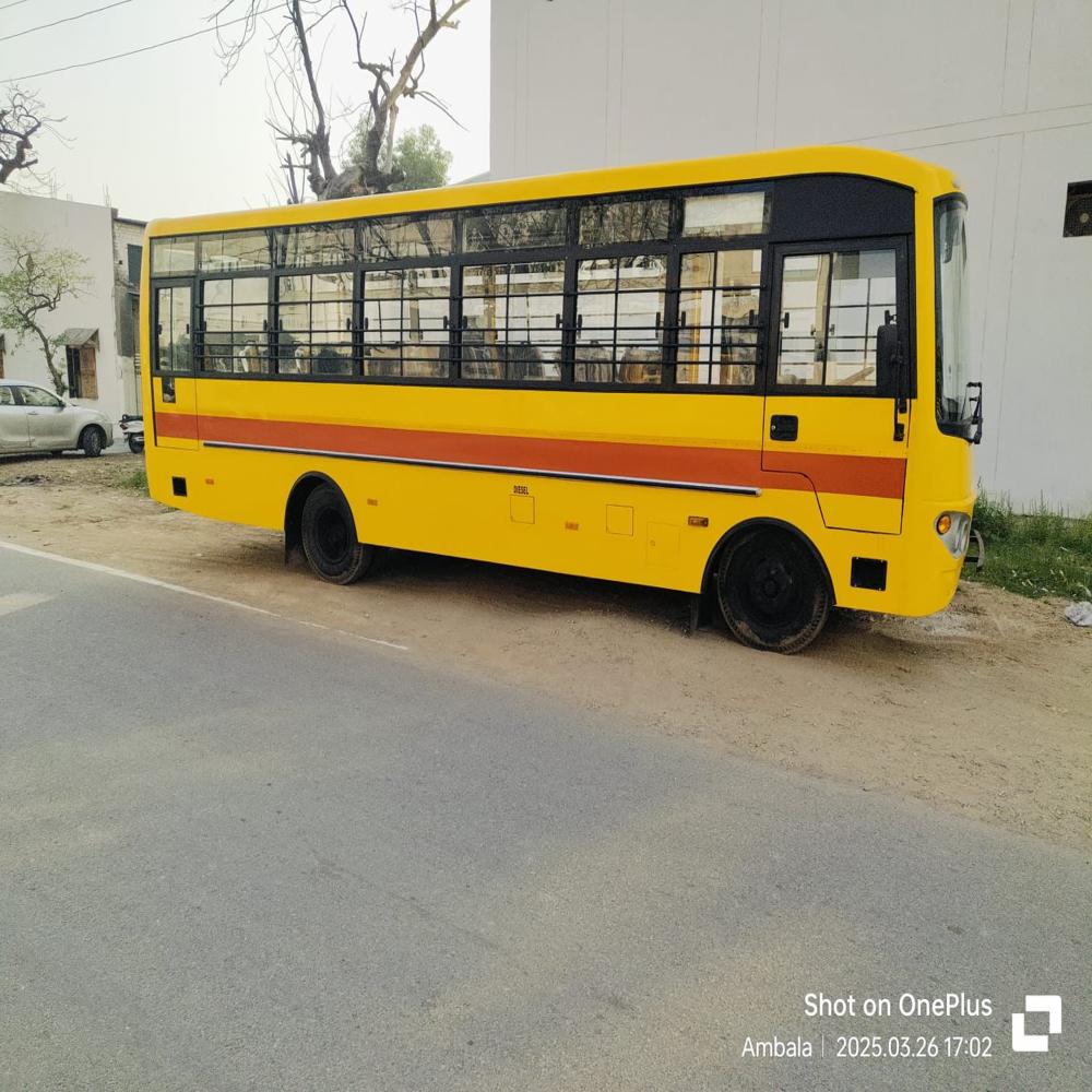 School Bus - Color: Yellow