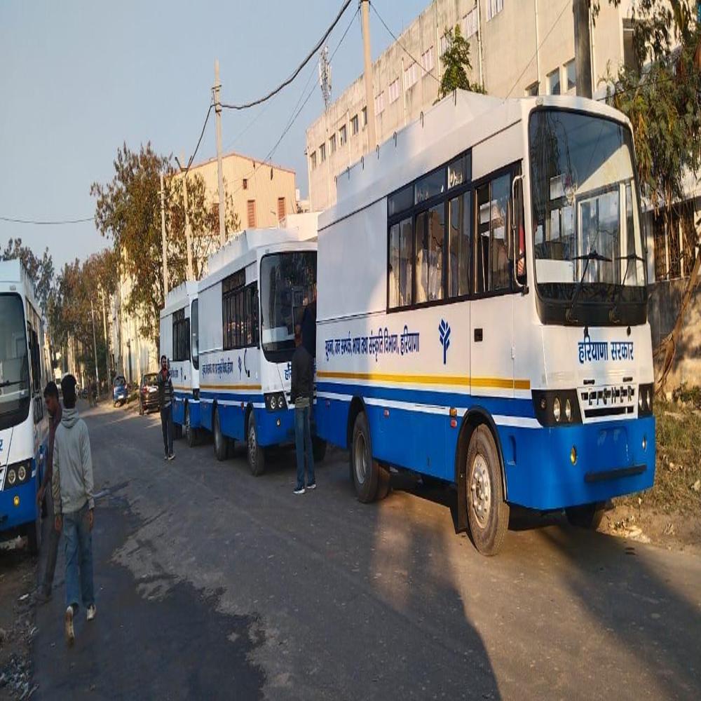 Video Vans - Color: Blue & White