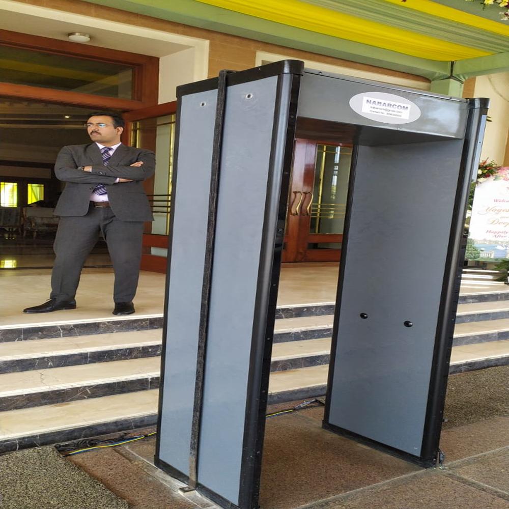 Door Frame Metal Detector
